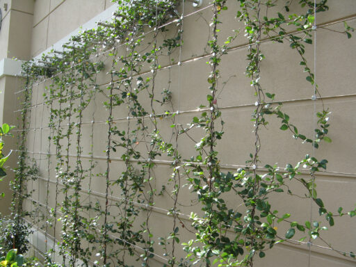 Retail Shopping Center - Green Wall - Carl Stahl DecorCable