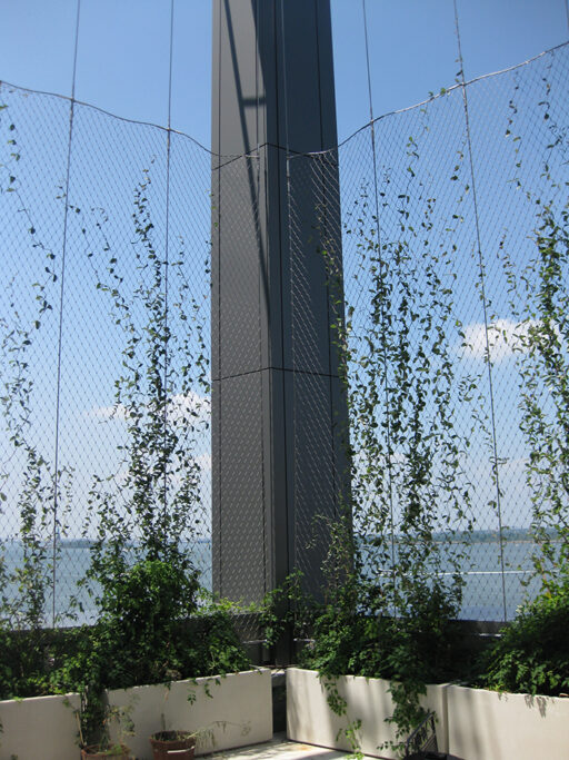 Battery Park City School