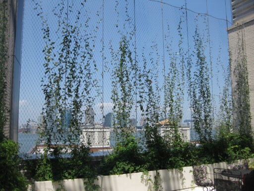 Battery Park City School - Carl Stahl DecorCable