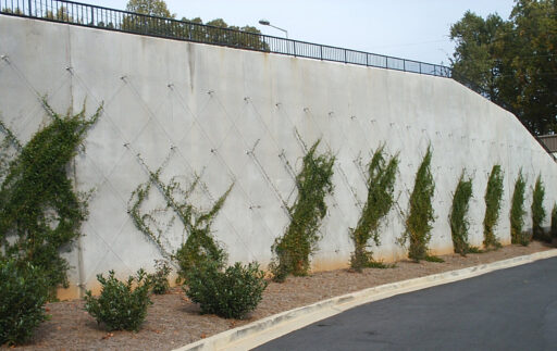 Lou Walker Senior Center Cable Trellis - Carl Stahl DecorCable