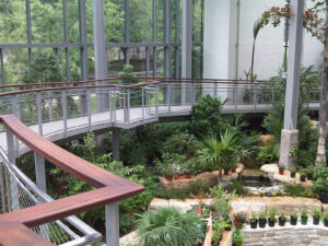 Texas Discovery Gardens-Butterfly House - Carl Stahl DecorCable