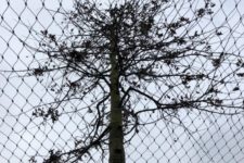 Parkeergarage-monnikkenberg-Hilversum-5