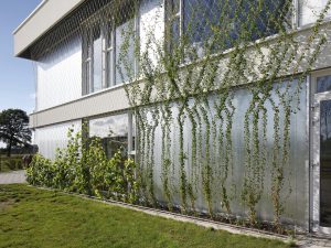 museum zutphen green facades