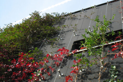 green-wall-system-carl-stahl-decorcable