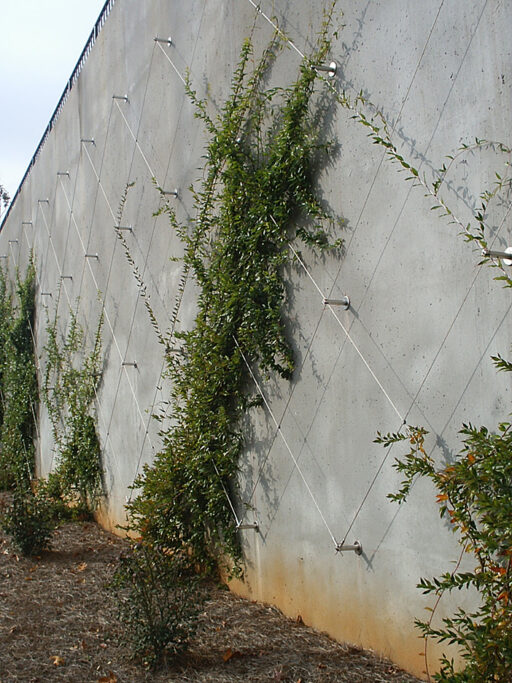 Lou Walker Senior Center Cable Trellis - Carl Stahl DecorCable